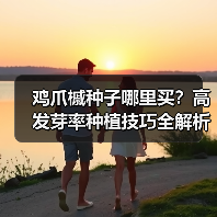 鸡爪槭种子哪里买？高发芽率种植技巧全解析（图1）