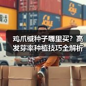 鸡爪槭种子哪里买？高发芽率种植技巧全解析（图2）
