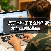 凉子木种子怎么种？高发芽率种植指南（图4）