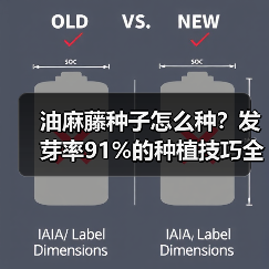 油麻藤种子怎么种？发芽率91%的种植技巧全解析（图2）