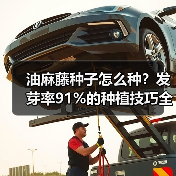 油麻藤种子怎么种？发芽率91%的种植技巧全解析（图4）