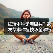 红瑞木种子哪里买？高发芽率种植技巧全解析（图3）