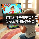 红瑞木种子哪里买？高发芽率种植技巧全解析（图4）
