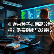 仙客来种子如何高效种植?购买指南与发芽技巧(图2) 仙客来种子如何高效种植?购买指南与发芽技巧(图2)
