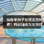 仙客来种子如何高效种植？购买指南与发芽技巧（图1）