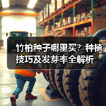 竹柏种子哪里买？种植技巧及发芽率全解析（图1）