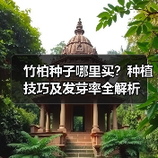 竹柏种子哪里买?种植技巧及发芽率全解析(图3) 竹柏种子哪里买?种植技巧及发芽率全解析(图3)