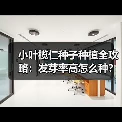 小叶榄仁种子种植全攻略：发芽率高怎么种？（图2）