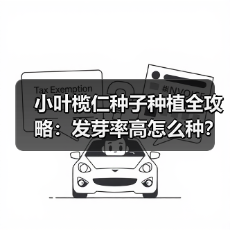 小叶榄仁种子种植全攻略:发芽率高怎么种?(图4) 小叶榄仁种子种植全攻略:发芽率高怎么种?(图4)