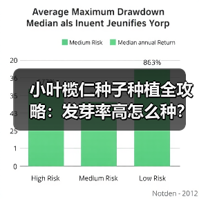小叶榄仁种子种植全攻略:发芽率高怎么种?(图3) 小叶榄仁种子种植全攻略:发芽率高怎么种?(图3)