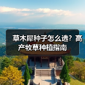 草木犀种子怎么选?高产牧草种植指南(图3) 草木犀种子怎么选?高产牧草种植指南(图3)