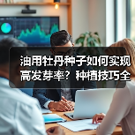 油用牡丹种子如何实现高发芽率？种植技巧全解析（图1）