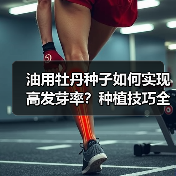 油用牡丹种子如何实现高发芽率？种植技巧全解析（图4）
