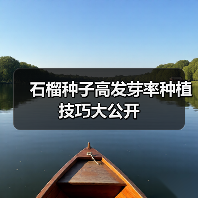 石榴种子高发芽率种植技巧大公开(图2) 石榴种子高发芽率种植技巧大公开(图2)
