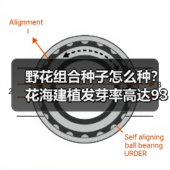 野花组合种子怎么种？花海建植发芽率高达93%（图1）