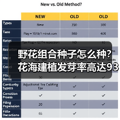 野花组合种子怎么种？花海建植发芽率高达93%（图2）