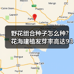 野花组合种子怎么种？花海建植发芽率高达93%（图3）