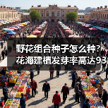 野花组合种子怎么种?花海建植发芽率高达93%(图4) 野花组合种子怎么种?花海建植发芽率高达93%(图4)