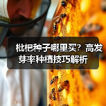 枇杷种子哪里买?高发芽率种植技巧解析(图2) 枇杷种子哪里买?高发芽率种植技巧解析(图2)