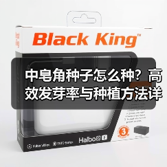 中皂角种子怎么种？高效发芽率与种植方法详解（图1）