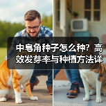 中皂角种子怎么种？高效发芽率与种植方法详解（图2）