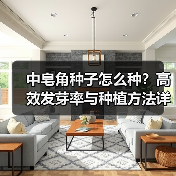 中皂角种子怎么种?高效发芽率与种植方法详解(图3) 中皂角种子怎么种?高效发芽率与种植方法详解(图3)