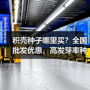 积壳种子哪里买？全国批发优惠，高发芽率种植指南（图1）