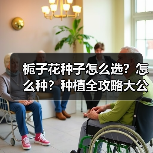 栀子花种子怎么选？怎么种？种植全攻略大公开（图4）