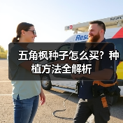 五角枫种子怎么买？种植方法全解析（图3）