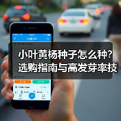 小叶黄杨种子怎么种？选购指南与高发芽率技巧解析（图3）