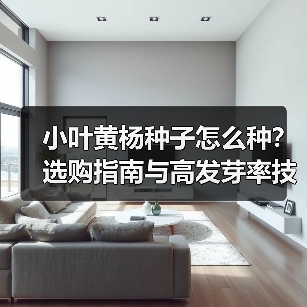 小叶黄杨种子怎么种？选购指南与高发芽率技巧解析（图4）