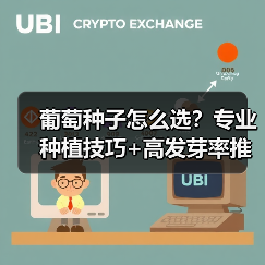 葡萄种子怎么选？专业种植技巧+高发芽率推荐（图3）
