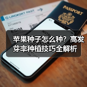 苹果种子怎么种？高发芽率种植技巧全解析（图2）