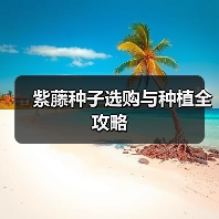 紫藤种子选购与种植全攻略(图2) 紫藤种子选购与种植全攻略(图2)