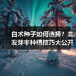 白术种子如何选择?高发芽率种植技巧大公开(图4) 白术种子如何选择?高发芽率种植技巧大公开(图4)