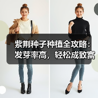 紫荆种子种植全攻略：发芽率高，轻松成致富新选择（图2）