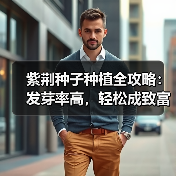 紫荆种子种植全攻略：发芽率高，轻松成致富新选择（图4）