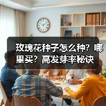 玫瑰花种子怎么种？哪里买？高发芽率秘诀（图3）