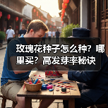 玫瑰花种子怎么种？哪里买？高发芽率秘诀（图4）