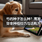 芍药种子怎么种？高发芽率种植技巧与选购方法全解析（图2）
