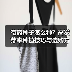 芍药种子怎么种?高发芽率种植技巧与选购方法全解析(图3) 芍药种子怎么种?高发芽率种植技巧与选购方法全解析(图3)