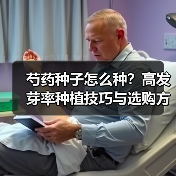 芍药种子怎么种？高发芽率种植技巧与选购方法全解析（图4）