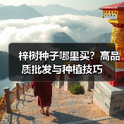 梓树种子哪里买？高品质批发与种植技巧（图3）