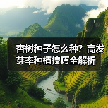 杏树种子怎么种？高发芽率种植技巧全解析（图3）