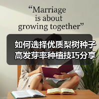 如何选择优质梨树种子 高发芽率种植技巧分享（图1）