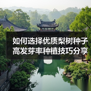 如何选择优质梨树种子 高发芽率种植技巧分享（图2）