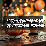 如何选择优质梨树种子 高发芽率种植技巧分享(图3) 如何选择优质梨树种子 高发芽率种植技巧分享(图3)