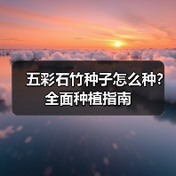 五彩石竹种子怎么种？全面种植指南（图1）