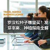 罗汉松种子哪里买?发芽率高,种植指南全解析(图3) 罗汉松种子哪里买?发芽率高,种植指南全解析(图3)