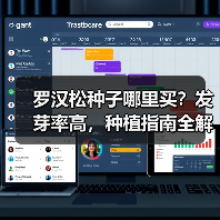 罗汉松种子哪里买？发芽率高，种植指南全解析（图4）